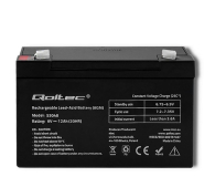 Qoltec Akumulator AGM 6V 12Ah max. 108A - 1257481 - zdjęcie 1